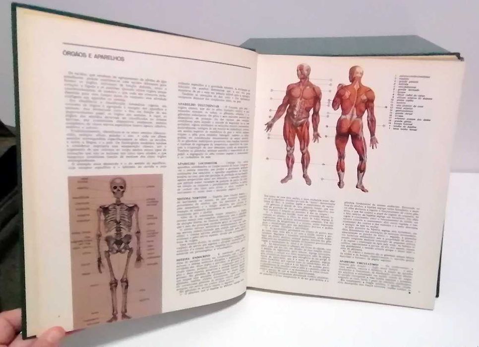 Medicina e Saúde (12 Volumes)