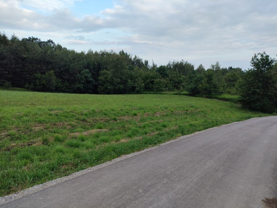 Sprzedam działkę z warunkami zabudowy.