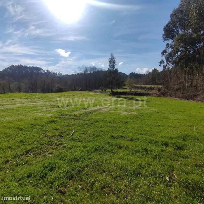 Quinta em Arnóia - Celorico de Basto