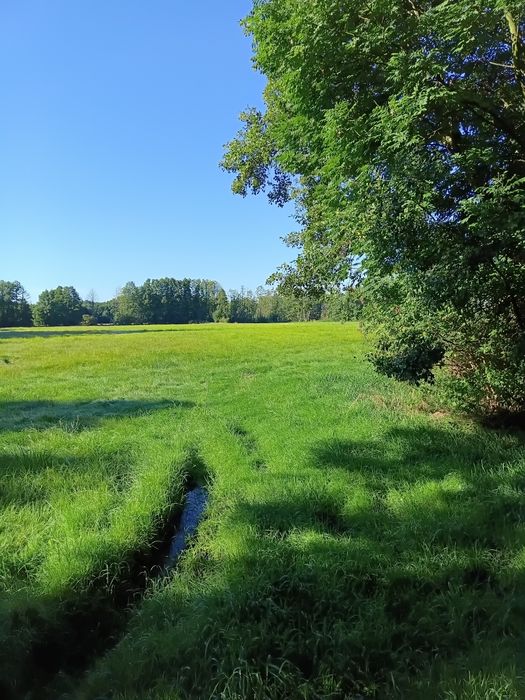 Sprzedam Łaki 3.2 hetara w 3 kawałkach