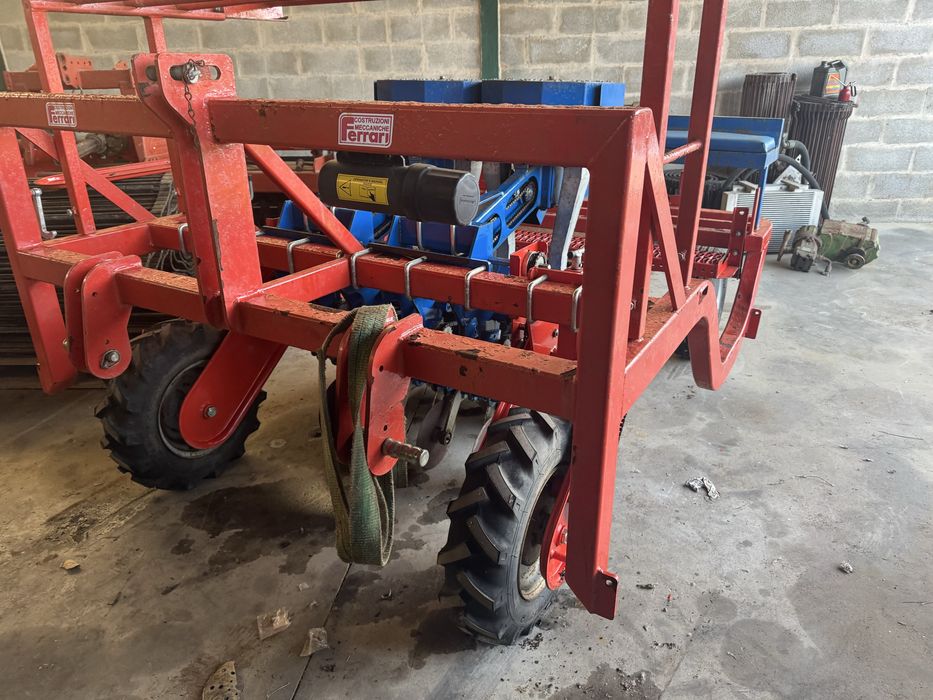 Plantador de cebolas