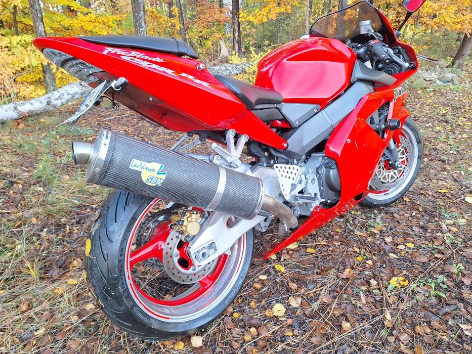 Honda CBR 954  LEO VINCE