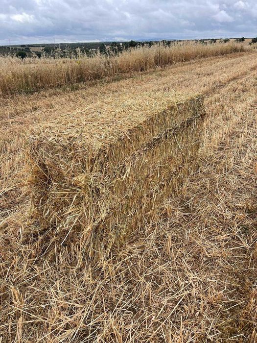 Enfardadeira New Holland