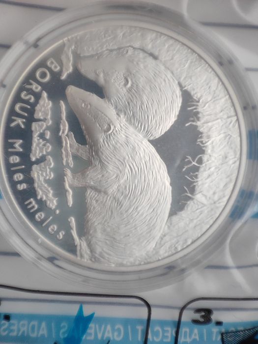 Moneta srebrna 20 zł Borsuk NBP Ag.925