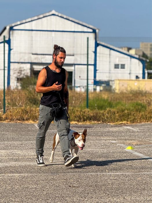 Treinador de Cães | Obediência | Pet Sitting | Passeios