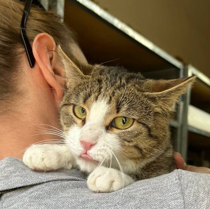 Тімоті обіймашка 8 міс