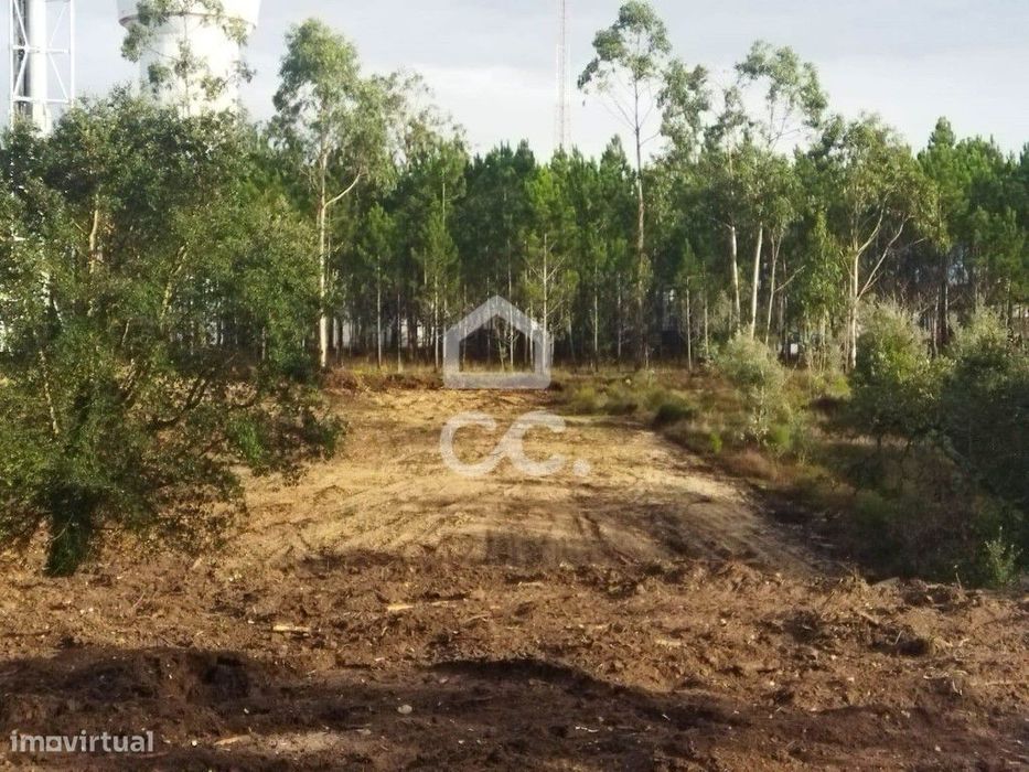 Terreno para construção em Monte Real