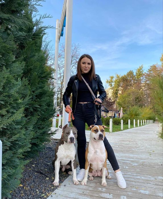 Перспективный мальчик Амстаффа