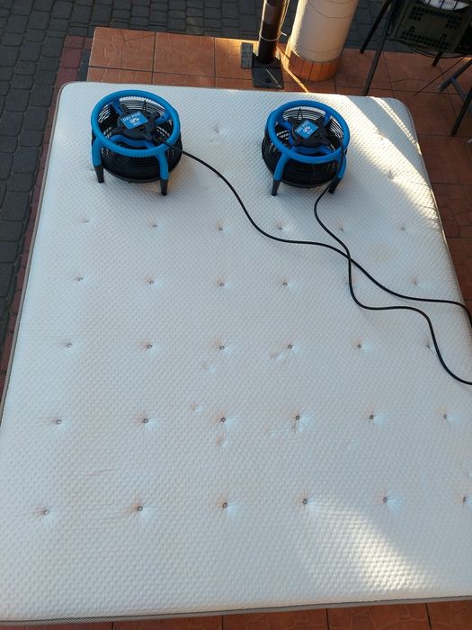 Pranie, czyszczenie tapicerki meblowej, wykładzin i dywanów