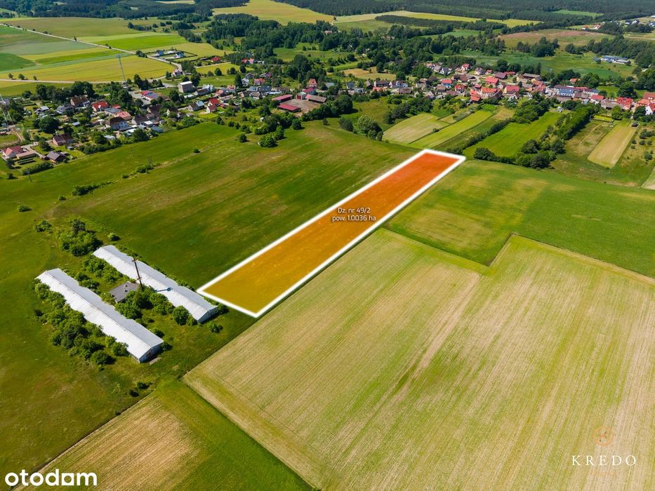 Działka budowlana 1,0036 ha | WZ | Duży potencjał inwest. | Koczała