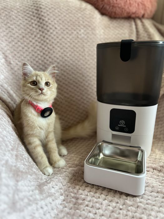 Розумна годівничка для котів та собак Papifeed smart