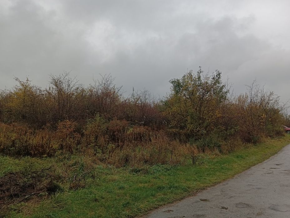 Wycinka drzew Karczowanie Zrębkowanie gałęzi Mulczer leśny Mulczowanie