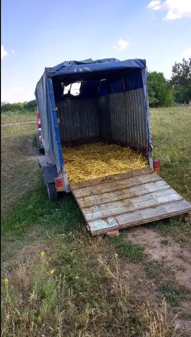 Доставка животных, (ВРХ,КРС, корова, свиньей, овец, коня, коза)