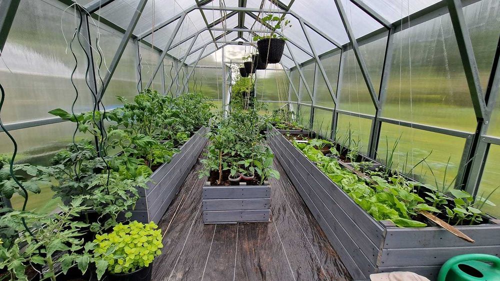 Szklarnia profil 40x40mm 3x6m model Victoria waga 193kg! WeisA Mocna!