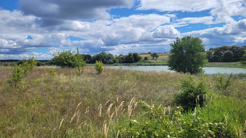 2-10га землі під ІЖБ, с.Мироцьке, Бучанська ТГ