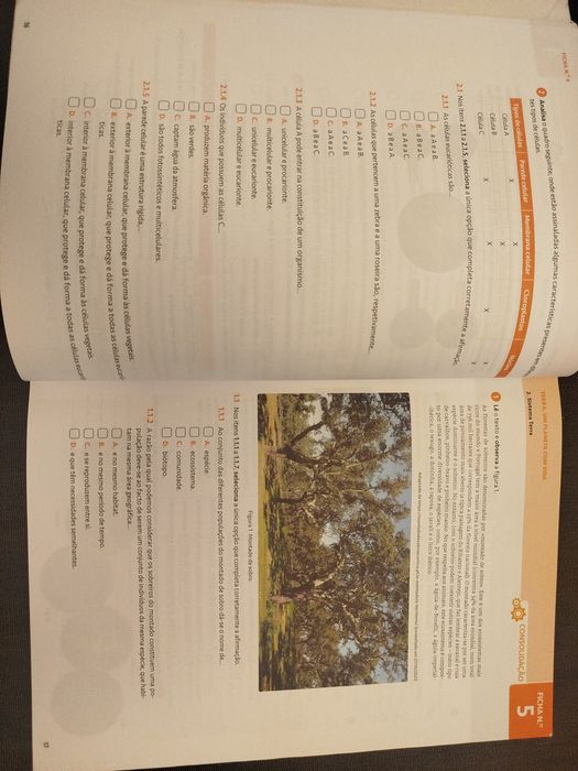 100% CN - 8°ano - caderno de atividades
