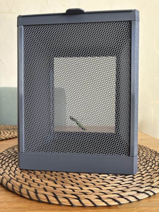 Nowoczesne Terrarium