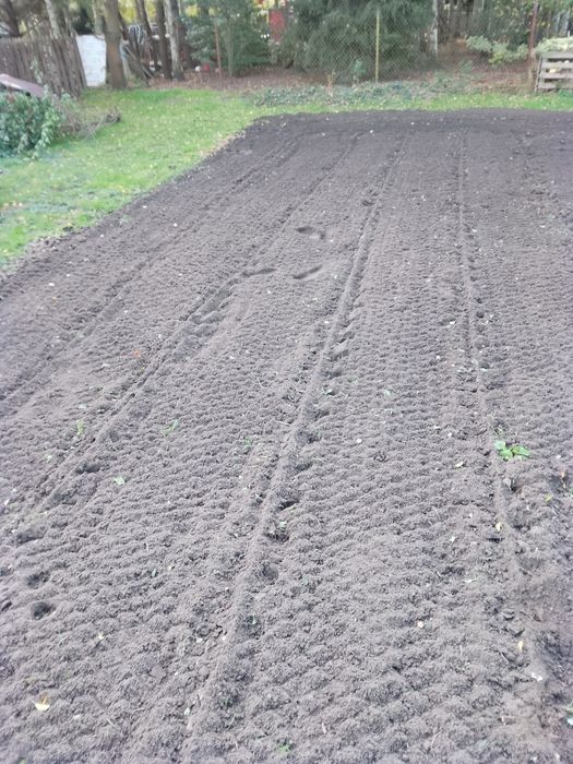 Ogródek ogród warzywa