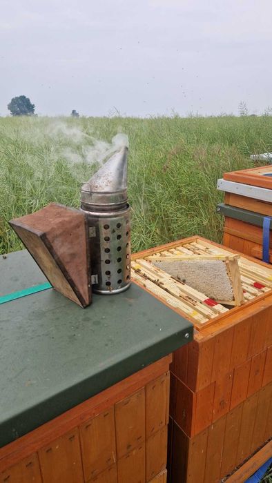 Miód z własnej pasieki