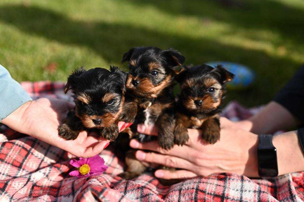 Очі в очі – закохайтеся з першого погляду в нашого малюка