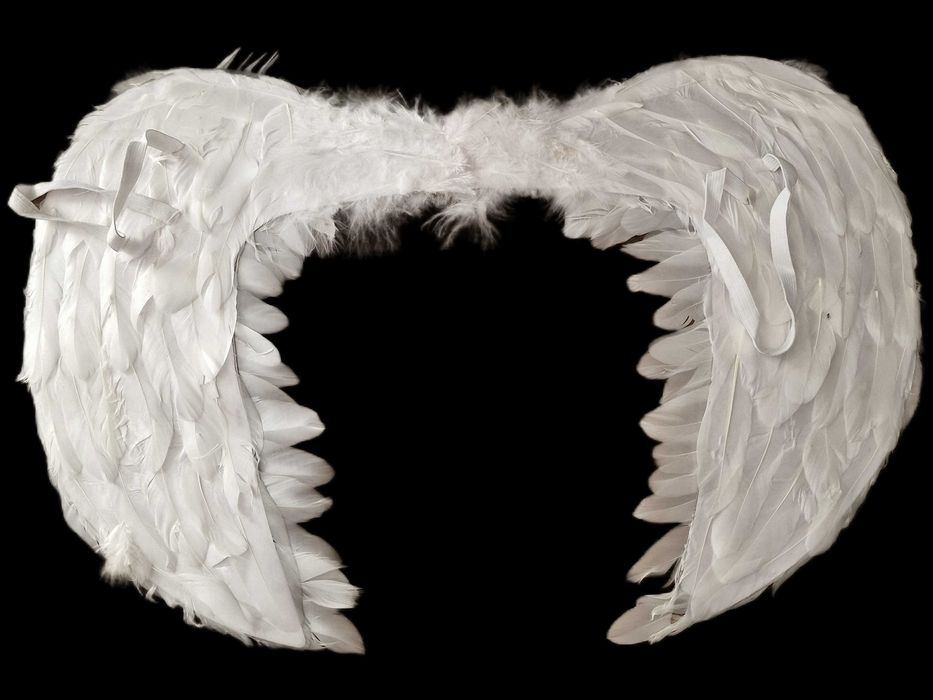 55x39 Piękne skrzydła Anioła na jasełka DUŻE SKRZYDŁA