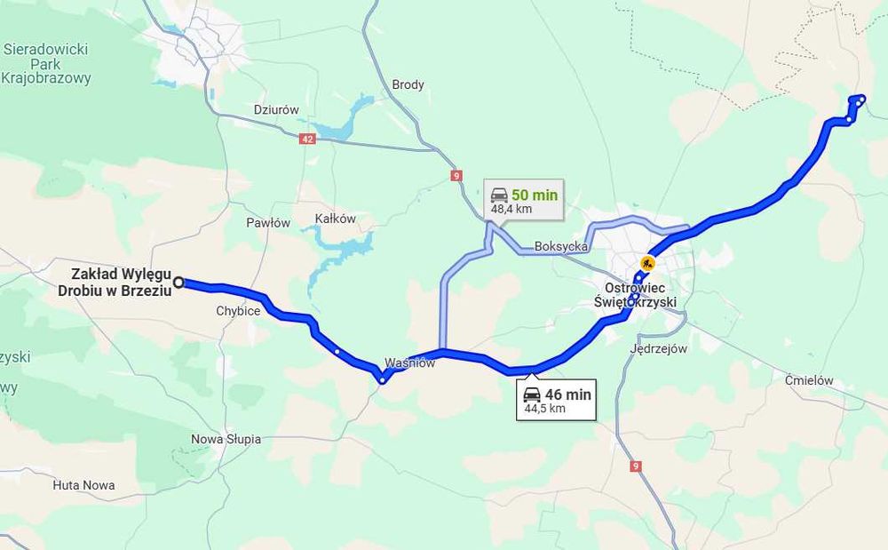 Kury, Kurczęta odchowane