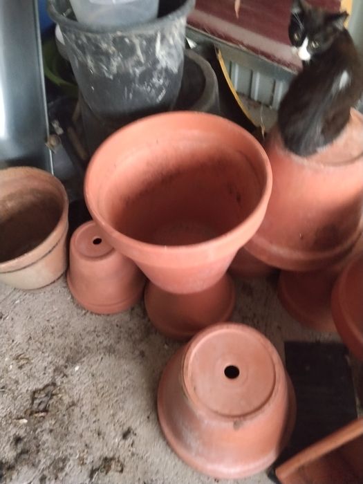 Vasos Ceramica usados