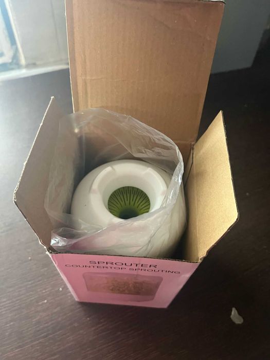 Kit de Germinação de Feijão Hidropônico Sustentável  - Novo