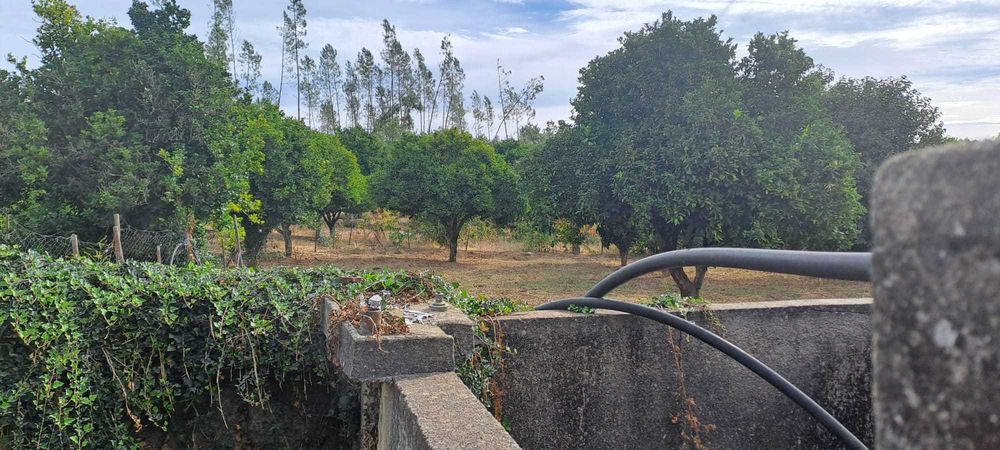 Quinta com 10 hectares, Cernache do Bonjardim, no Centro de Portugal.