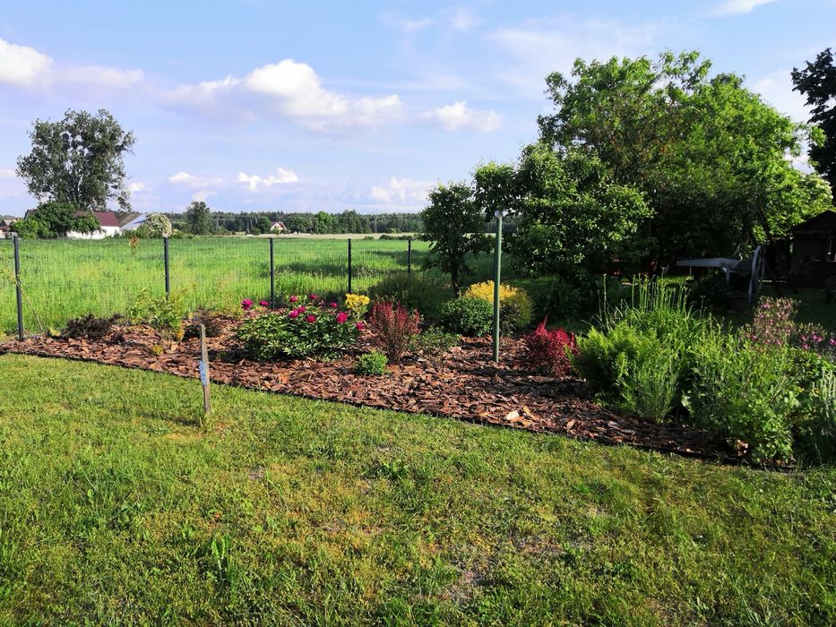 Pielegnacja ogrodów