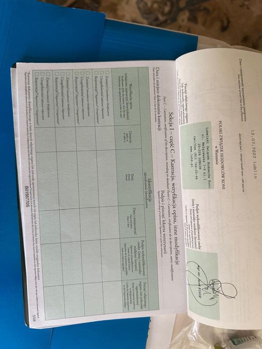 4 letni wałach małopolski