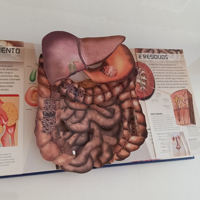 Estou vivo, livro pop-up