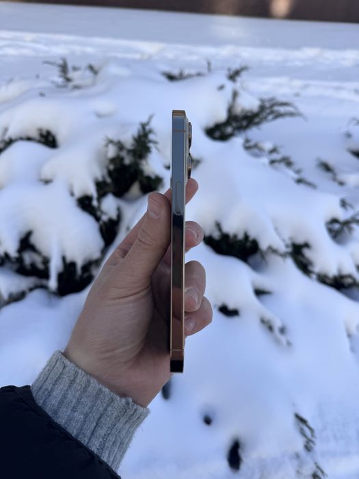 Apple iPhone 14 Pro Max I 512GB Gold