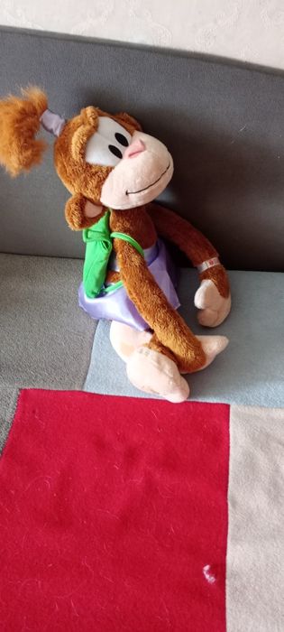 Małpka z plecakiem.
