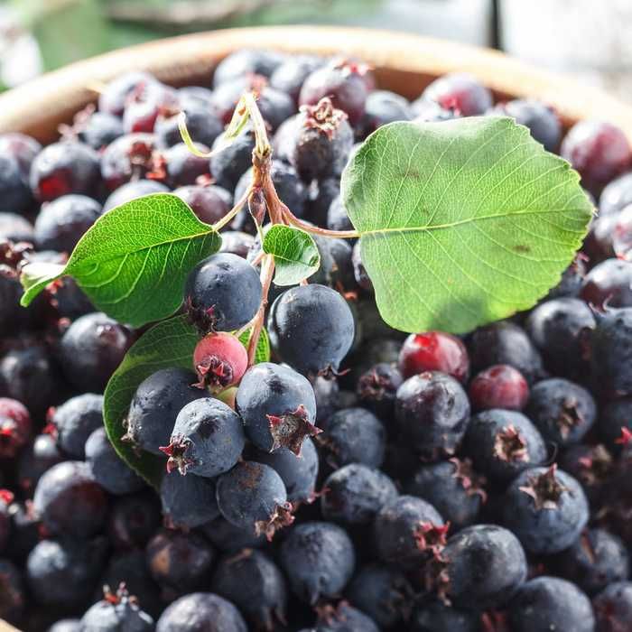 G Energodar би жұп интимдік жыныстық қатынас үшін би еркек іздейді