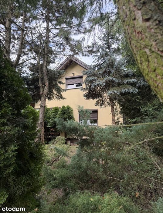 Domek w pięknej okolicy nad jeziorem Głuszynskim 50 metrów od jeziora