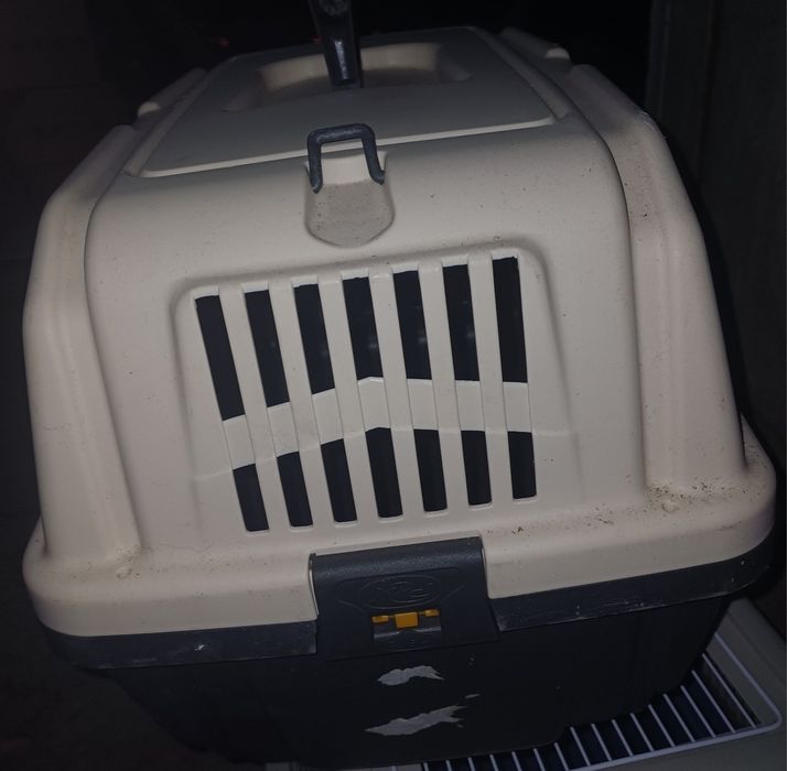 Transportadora de animais
