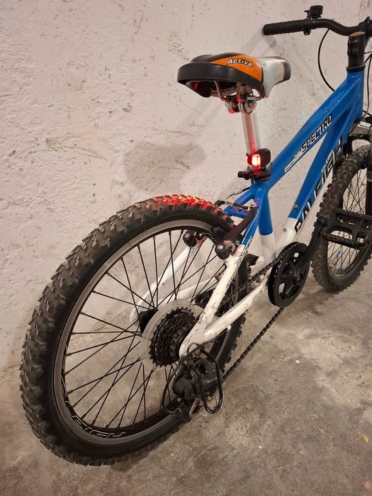 Rower Raleigh spectro 20  dziecięcy.