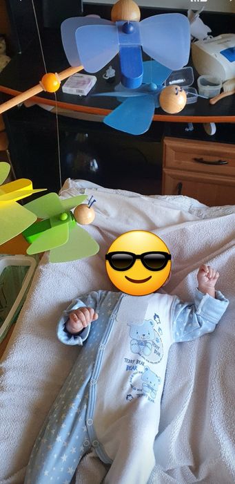 Haba zabawka motylki