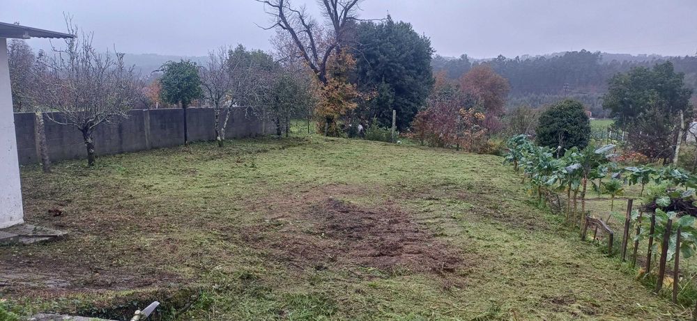 Limpeza de terrenos ou quintais