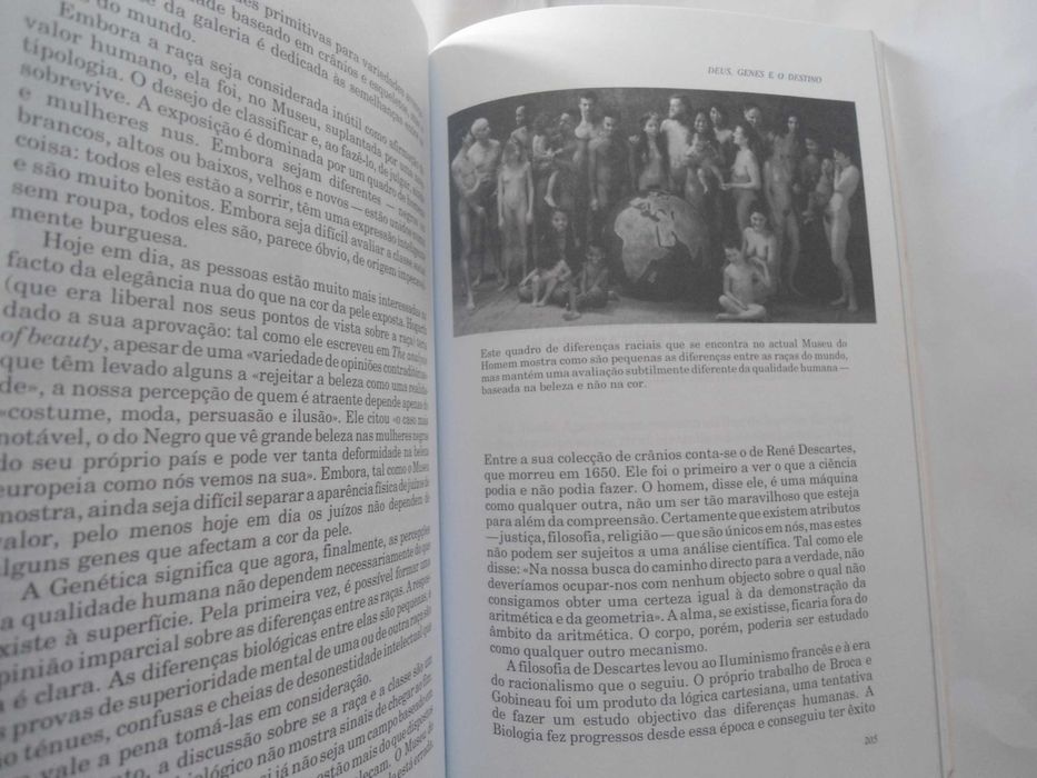 Deus, Genes e o Destino na massa do sangue de Steve Jones