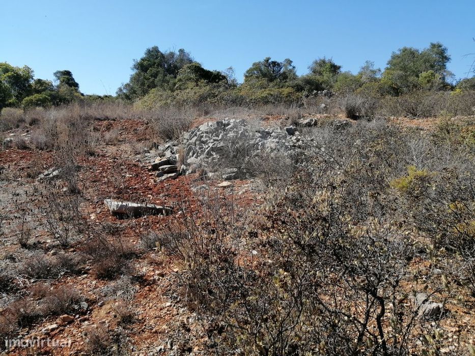 Terreno  para venda