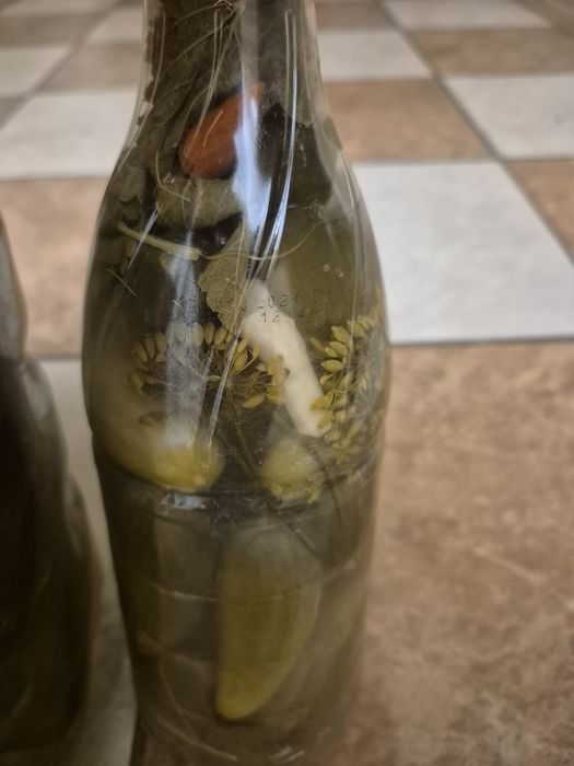 Sprzedam ogórki kiszone ekologicze