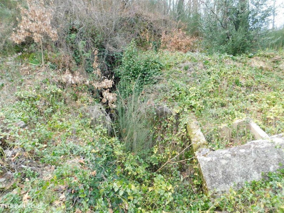 Terreno / Seia, Várzea de Meruge