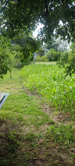 Продам будиночок з залитим фундаментом 7*5,5 м с.Сулимівка (дачний кооператив)