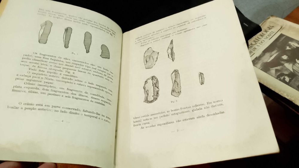 Restos humanos pré-históricos do Monte de Pedrogal-Leopoldina F. Paulo