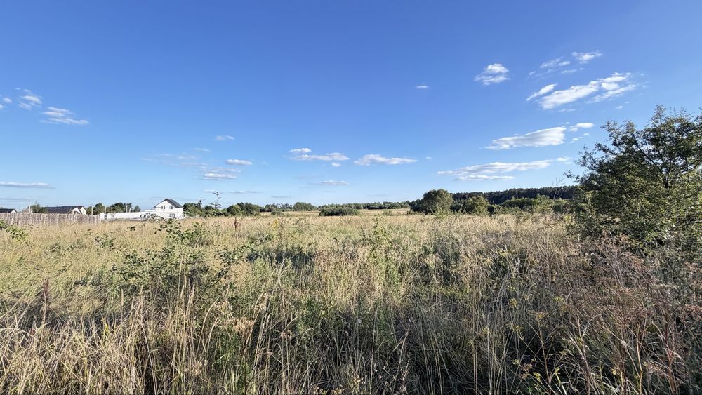 Фото ділянки