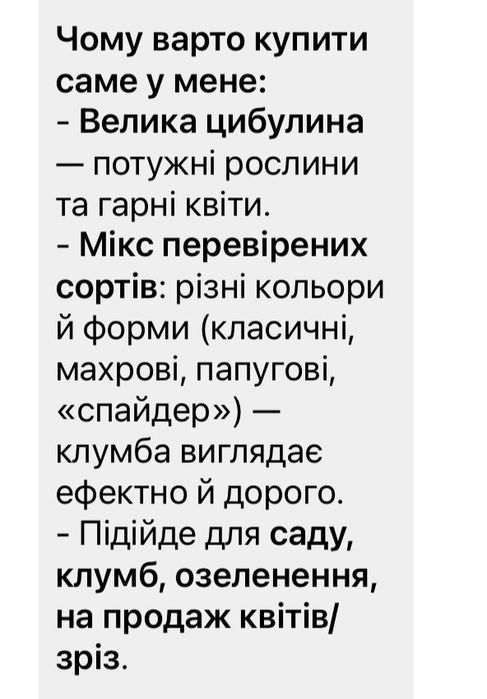 Цибулини на вигонку