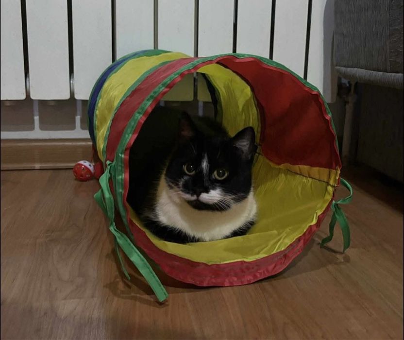 Traci dom tymczasowy PILNE