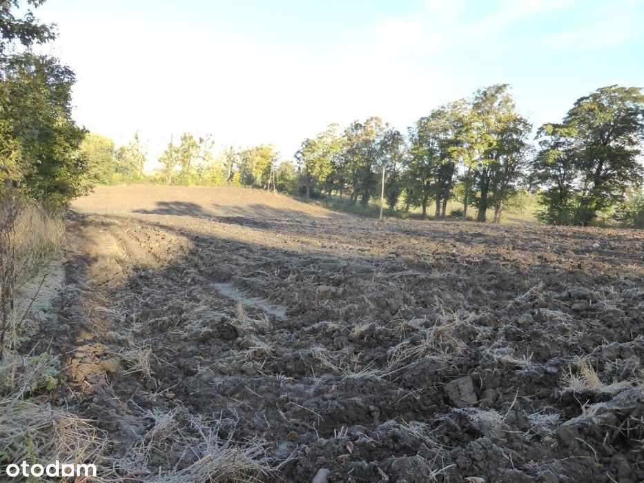 Działka z warunkami zabudowy – Tywęzy, gm. Dzierzgoń